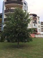 Apartment Tekeľova 95m2 - Bed and Breakfast