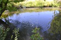 au fabuleux festin - B&B La Possonnière