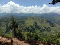 New Red Rose Ella - Chambres d’hôtes Ella Town