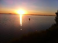 Apartment mit Terrasse