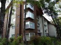 Condominio Pucon Andino - Ferienwohnung