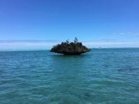 Appartamento Monolocale