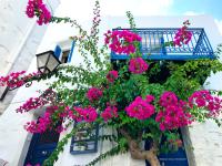 Next to the Bougainvillea! - Chambres d’hôtes Áno Sýros