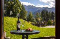 Apartament Południowy z widokiem- sauna, jacuzzi, kominek - Ferienwohnung Koscielisko