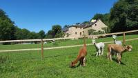 B&B Quins - La Ferme des Andes - Bed and Breakfast Quins