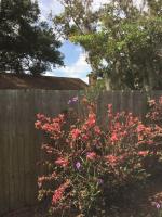 Just Gotta Getaway - B&B Port Orange