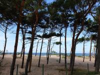 SeaSide Apartment - Ferienwohnung Rowe