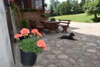 Agroturystyka u Ani - Bed and Breakfast Worpławki