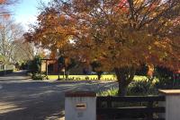 Maples on Harewood - B&B