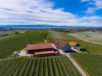 Höhlerhof - B&B Friedrichshafen