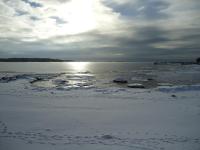 Two-Bedroom House with Sauna