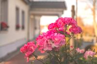 Pension und Restaurant Gutshaus Kaltenhof - B&B Kaltenhof