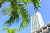 2201 Playa EL Palmar - B&B Las Palmeras