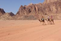 Wadi Rum Bedouin Way Camp