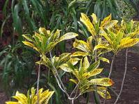 Suduweli Beauties of Nature - Yala - Ferienwohnung Kirinda