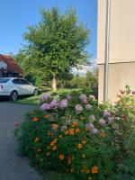 B&B Rakovica - Apartman MAURO - Bed and Breakfast Rakovica