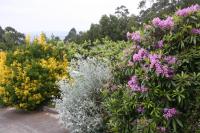 Quinta das Leiras - B&B Santo Tirso