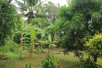 Nature Night Homestay - B&B Sigiriya