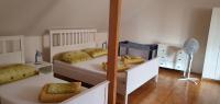 Appartement 1 Chambre (6 Adultes)