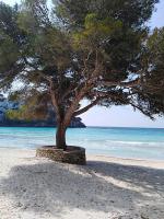 Garbí & Xaloc apartamentos - B&B Cala Galdana