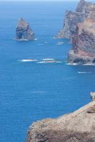 Antonella Home Funchal - B&B