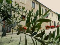 All'ombra degli Ulivi B&B - B&B