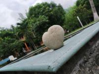 Casa La Potranca - B&B Puerto Vallarta