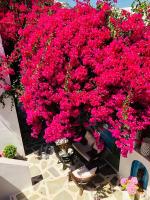 Batistas Apartments - Ferienwohnung Náousa