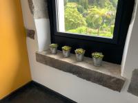 Chez Marie - Ferienwohnung Furnas