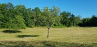 Chambre Double - Vue sur Parc