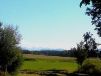 Ferienwohnung Moierhof - B&B Palling