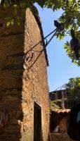 Quinta dos Paiva: horta natural e sossego - Bed and Breakfast