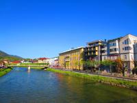 WOLKE, Apartment mit Balkon am Fluss, Zentrum, Parkplatz - B&B Bad Ischl