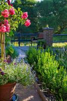 Suite con Vista Fiume