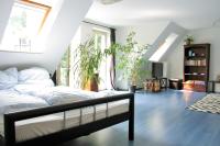 Zentrale Ferienwohnung Anker im Sonnenblumenhaus - Ferienwohnung