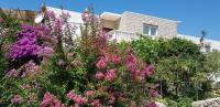 Dada Apartments - Bed and Breakfast