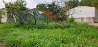Acogedor estudio cerca de Playa Migjorn - ET-7015 - Ferienwohnung Playa Migjorn