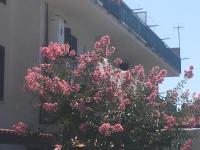 Coastal Cliff, Amalfi 2 - B&B Pianillo