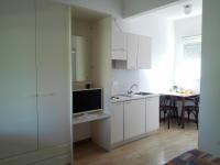 Studio with Garden View