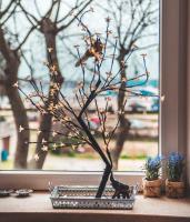 Luxury with sea view - B&B