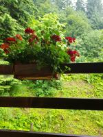 Camera Queen con Balcone