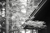 Casa con 4 camere da letto