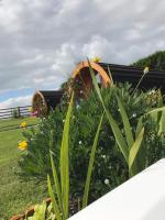 Tweepersoonskamer met Uitzicht op de Tuin