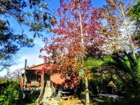 Gaia Hostal - B&B
