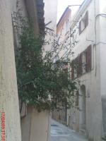 Triplex entre ciel et mer - B&B Roquebrune-Cap-Martin