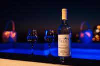 Antrum Cave Villa - Ferienwohnung Merovígli