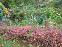 chez Manu - B&B Le Robert