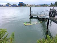 Departamento Río Valdivia - Ferienwohnung Valdivia