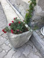Milla Appartamento 4-6 letti - Pontagna -1km Ponte di Legno T04416 - Chambres d'hôtes Villa Dalegno