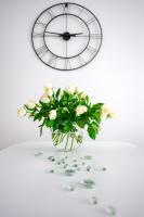 Apartament Baltic De Lux Platan Parking Free - B&B Świnoujście